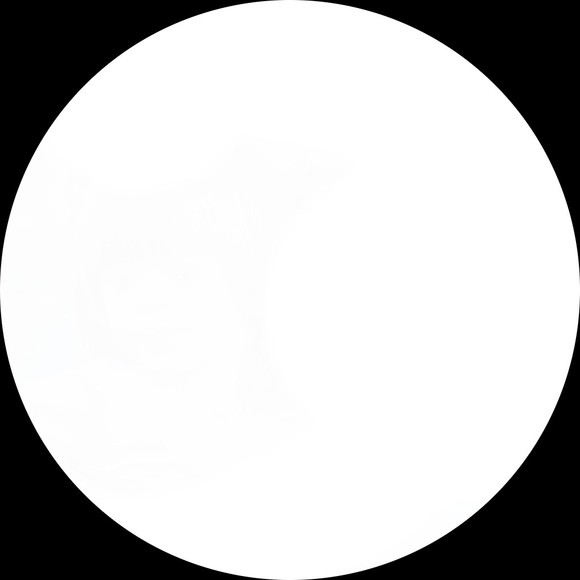 komorebin
